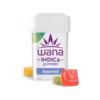Assorted Flavors (Med) // Indica
