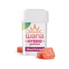 Raspberry Limeade (High-Dose Med) // Sativa