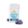 Blueberry (Rec) // 1:1 CBD/THC