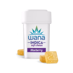 Blueberry (Med) // Indica
