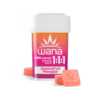 Passionfruit Pineapple 1:1:1 (Med) // 1:1:1 CBG/CBD/THC