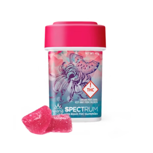 Watermelon Slushy (Rec) // Hybrid
